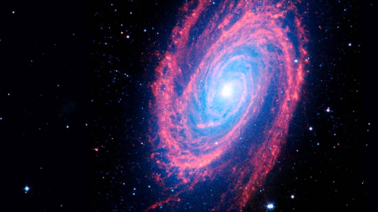 Cigar Galaxy